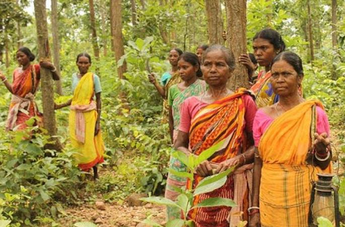 Appeals to the Divisional Commissioners can now be made for forest rights | वनहक्कासाठी आता करता येणार विभागीय आयुक्तांकडे अपील Appeals to the Divisional Commissioners can now be made for forest rights | वनहक्कासाठी आता करता येणार विभागीय आयुक्तांकडे अपील