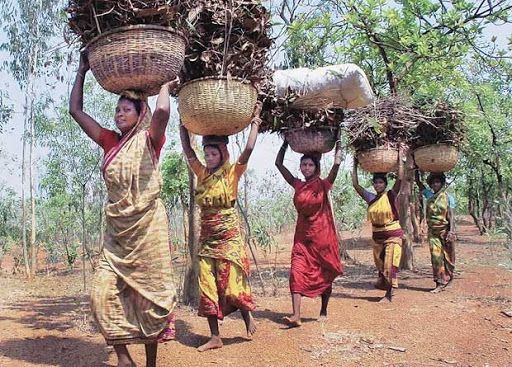 The tribal department discriminated against the tribals | आदिवासी विभागानेच केला आदिवासींमध्ये भेदभाव