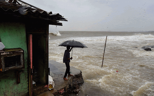 The storm damaged 733 houses and cowsheds | वादळाने ७३३ घरे, गोठ्यांचे नुकसान The storm damaged 733 houses and cowsheds | वादळाने ७३३ घरे, गोठ्यांचे नुकसान