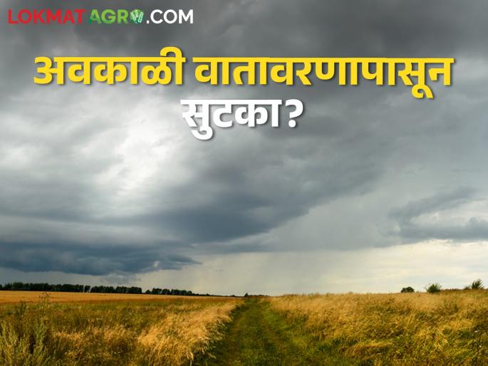 Latest news Get relief from unseasonal rain weather, read weather forecast | शेतकऱ्यांसाठी दिलासादायक! अवकाळी वातावरणापासून सुटका मिळणार, वाचा हवामान अंदाज  Latest news Get relief from unseasonal rain weather, read weather forecast | शेतकऱ्यांसाठी दिलासादायक! अवकाळी वातावरणापासून सुटका मिळणार, वाचा हवामान अंदाज