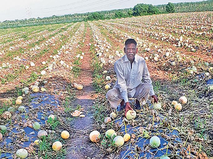 Rs. 3,000 / ha for rain-fed farmers; Governor's announcement | अतिवृष्टीग्रस्त शेतकऱ्यांना हेक्टरी ८ हजार रुपये मदत; राज्यपालांची घोषणा Rs. 3,000 / ha for rain-fed farmers; Governor's announcement | अतिवृष्टीग्रस्त शेतकऱ्यांना हेक्टरी ८ हजार रुपये मदत; राज्यपालांची घोषणा