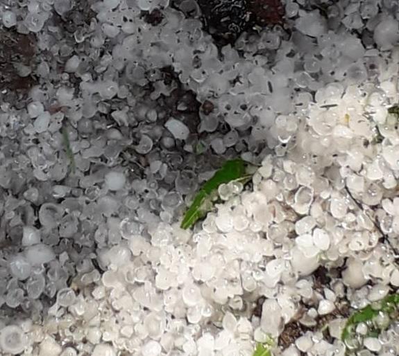 Arrival of unseasonal rains in Vidarbha with hail; Danger to harvested grain | विदर्भात अवकाळी पावसाचे गारांसह आगमन; कापणीच्या धानाला धोका Arrival of unseasonal rains in Vidarbha with hail; Danger to harvested grain | विदर्भात अवकाळी पावसाचे गारांसह आगमन; कापणीच्या धानाला धोका