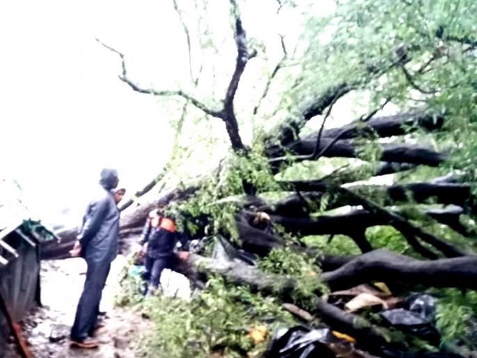 Death of 52-year-old man who was inside slum after a tree fell on the shack his wife is saved | झाड झोपडीवर पडून आत असलेल्या ५२ वर्षीय इसमाचा मृत्यू; पत्नीला वाचवण्यात यश Death of 52-year-old man who was inside slum after a tree fell on the shack his wife is saved | झाड झोपडीवर पडून आत असलेल्या ५२ वर्षीय इसमाचा मृत्यू; पत्नीला वाचवण्यात यश