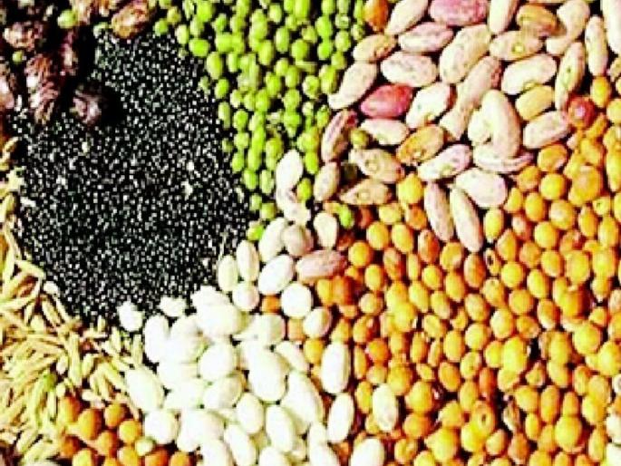 National Seed Festival in Nagpur from tomorrow | नागपुरात उद्यापासून राष्ट्रीय बीज महोत्सव National Seed Festival in Nagpur from tomorrow | नागपुरात उद्यापासून राष्ट्रीय बीज महोत्सव