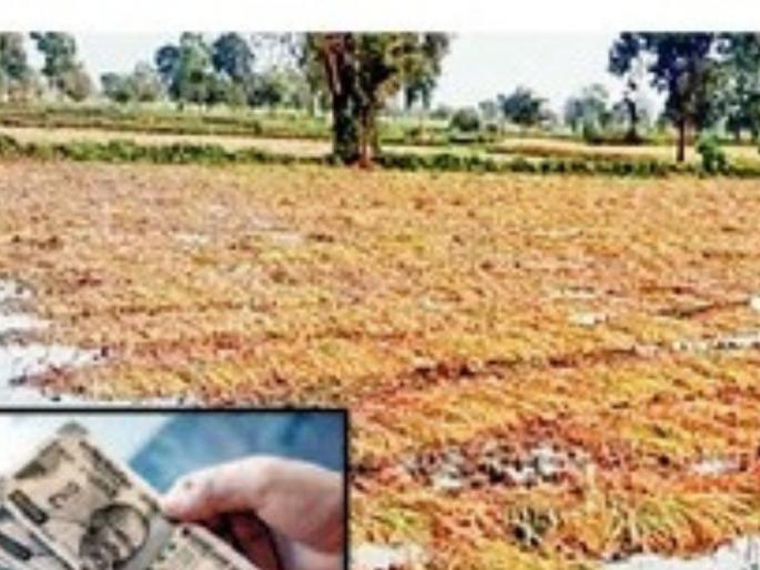 Bad weather destroyed three acres of agriculture; farmer got Compensation of 1080 rupees! | अवकाळीने तीन एकर शेती उद्ध्वस्त; भरपाई १०८० रुपये ! Bad weather destroyed three acres of agriculture; farmer got Compensation of 1080 rupees! | अवकाळीने तीन एकर शेती उद्ध्वस्त; भरपाई १०८० रुपये !
