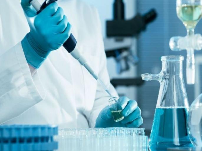 There is no food inspection lab in Gadchiroli | गडचिरोलीत अन्नपदार्थ तपासणीची लॅबच नाही