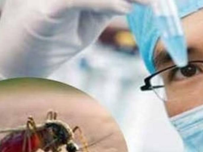 Four and a half lakh blood samples tested, 42 malaria patients | साडेचार लाख रक्त नमुने तपासले, मलेरियाचे ४२ रुग्ण Four and a half lakh blood samples tested, 42 malaria patients | साडेचार लाख रक्त नमुने तपासले, मलेरियाचे ४२ रुग्ण