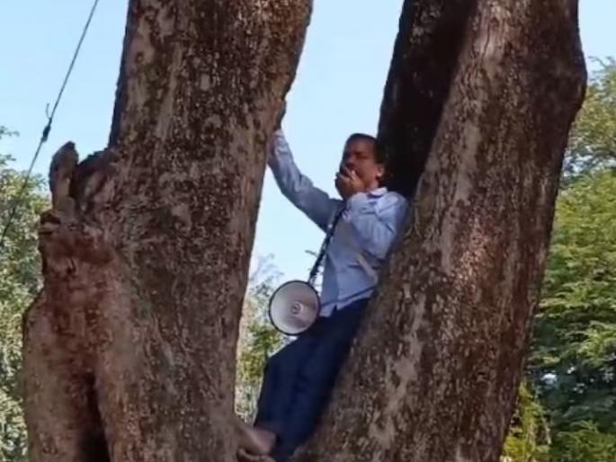 kushinagar bjp leader climbed on tree with mike not ready to come down against tehsil administration | अधिकाऱ्यांनी तक्रार न ऐकताच भाजपा नेता माईक घेऊन झाडावर चढला, उतरायला तयार नाही, मग... kushinagar bjp leader climbed on tree with mike not ready to come down against tehsil administration | अधिकाऱ्यांनी तक्रार न ऐकताच भाजपा नेता माईक घेऊन झाडावर चढला, उतरायला तयार नाही, मग...