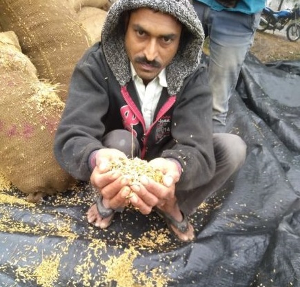 Returning rains soaked millions of paddy in Gondia district | परतीच्या पावसाने गोंदिया जिल्ह्यात लाखोंचे धान भिजले