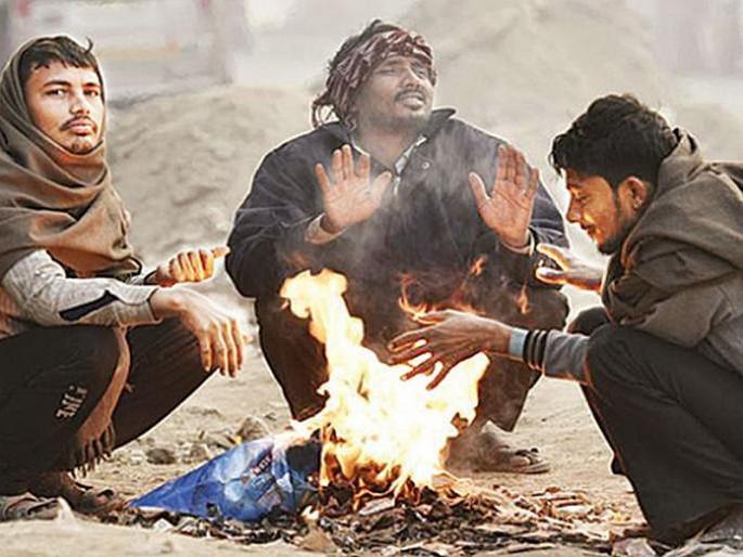 cold wave continues in uttar pradesh 41 more lives lost | उत्तर प्रदेशमध्ये थंडीचा कडाका; 41 जणांचा मृत्यू cold wave continues in uttar pradesh 41 more lives lost | उत्तर प्रदेशमध्ये थंडीचा कडाका; 41 जणांचा मृत्यू