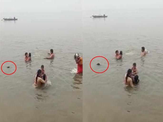Uttar pradesh Shocking Aunt keeps making Ganga bath reel and 4 year old child keeps drowning The body was found after 2 hours | धक्कादायक! मावशी गंगा स्नानाची रील बनवत राहिली अन् 4 वर्षांची चिमुकली बुडत रहिली! 2 तासांनंतर सापडला मृतदेह Uttar pradesh Shocking Aunt keeps making Ganga bath reel and 4 year old child keeps drowning The body was found after 2 hours | धक्कादायक! मावशी गंगा स्नानाची रील बनवत राहिली अन् 4 वर्षांची चिमुकली बुडत रहिली! 2 तासांनंतर सापडला मृतदेह