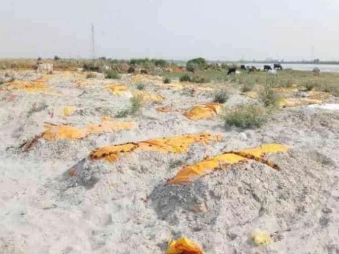 Dead Bodies Found Buried In Sand Near River Ganga In Unnao Uttar Pradesh | भयावह, भयानक, भीषण! गंगा नदीजवळ वाळूत अनेक मृतदेहांचं दफन; स्थानिकांमध्ये घबराट Dead Bodies Found Buried In Sand Near River Ganga In Unnao Uttar Pradesh | भयावह, भयानक, भीषण! गंगा नदीजवळ वाळूत अनेक मृतदेहांचं दफन; स्थानिकांमध्ये घबराट