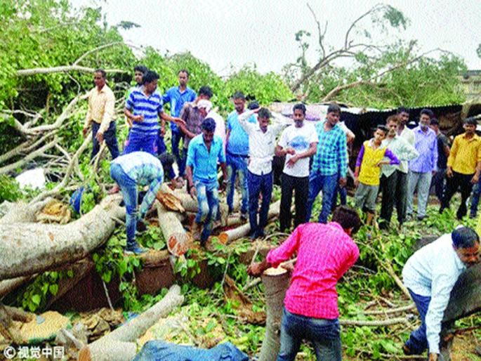 17 victims of storm surge; Destroy innumerable houses, flatten the trees | वादळाचे यूपीत १७ बळी; असंख्य घरे उद्ध्वस्त, झाडे जमीनदोस्त 17 victims of storm surge; Destroy innumerable houses, flatten the trees | वादळाचे यूपीत १७ बळी; असंख्य घरे उद्ध्वस्त, झाडे जमीनदोस्त