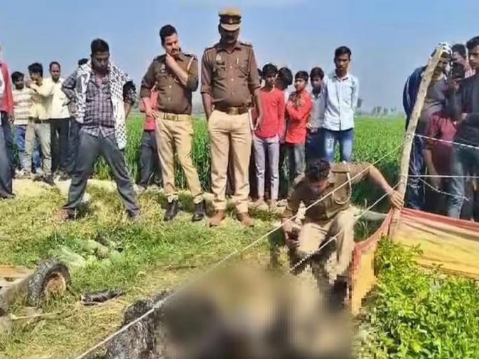 Shocking! Wife's kidnapping and gang rape; Accused burn husband alive | धक्कादायक! पत्नीचे अपहरण अन् सामूहिक बलात्कार; आरोपींनी साक्षीदार पतीला जिवंत जाळले Shocking! Wife's kidnapping and gang rape; Accused burn husband alive | धक्कादायक! पत्नीचे अपहरण अन् सामूहिक बलात्कार; आरोपींनी साक्षीदार पतीला जिवंत जाळले