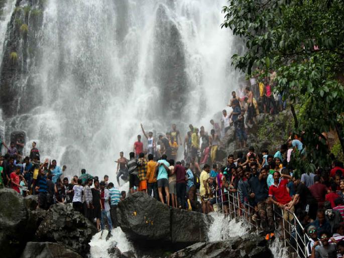Nuisance charges now for tourists coming to Amboli, legal action if trespassing in government forest | आंबोलीत येणाऱ्या पर्यटकांसाठी आता उपद्रव शुल्क, शासकीय जंगलात अपप्रवेश केल्यास कायदेशीर कारवाई Nuisance charges now for tourists coming to Amboli, legal action if trespassing in government forest | आंबोलीत येणाऱ्या पर्यटकांसाठी आता उपद्रव शुल्क, शासकीय जंगलात अपप्रवेश केल्यास कायदेशीर कारवाई