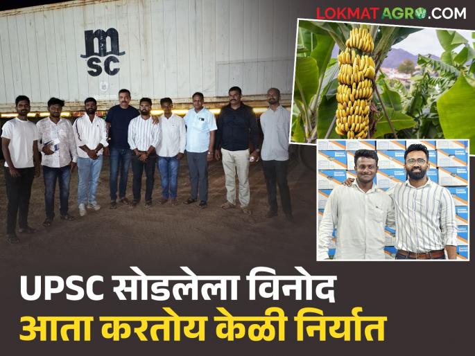 Left UPSC; took up farming! Young farmer exports container of bananas from his own farm | UPSC सोडली; शेती केली! आपल्याच शेतातून केळीचा कंटेनर निर्यात करणारा युवा शेतकरी