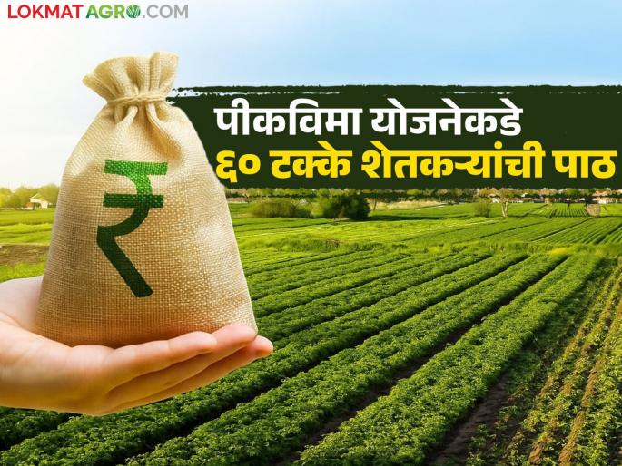60 percent of farmers in Marathwada have opted for the Prime Minister's Crop Insurance Scheme this year | मराठवाड्यातील ६० टक्के शेतकऱ्यांची यंदा प्रधानमंत्री पीकविमा योजनेकडे पाठ 60 percent of farmers in Marathwada have opted for the Prime Minister's Crop Insurance Scheme this year | मराठवाड्यातील ६० टक्के शेतकऱ्यांची यंदा प्रधानमंत्री पीकविमा योजनेकडे पाठ