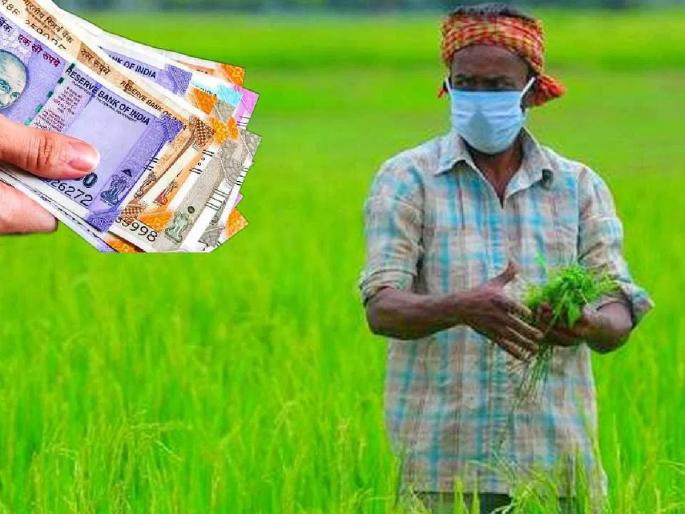 Beed farmers number one in getting crop insurance! | पीक विमा घेण्यात बीडचे शेतकरी नंबर वन! Beed farmers number one in getting crop insurance! | पीक विमा घेण्यात बीडचे शेतकरी नंबर वन!