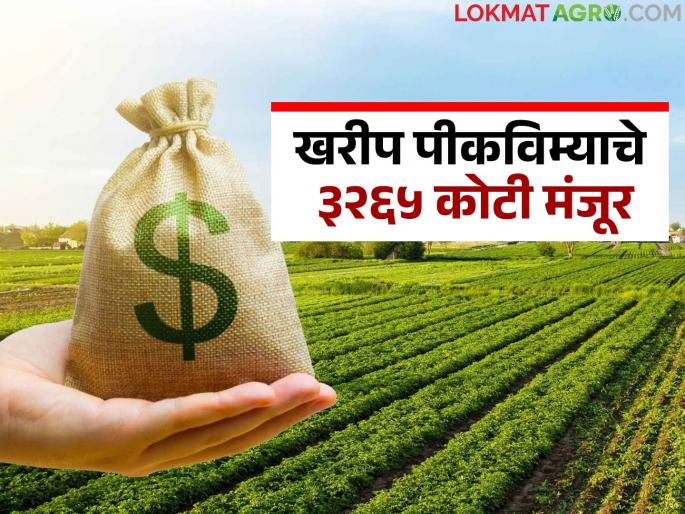 Government approves Rs 3,265 crore for Kharif crop insurance; 'This' district received the most funds | खरीप पीकविम्याचे ३,२६५ कोटी शासनाने केले मंजूर; 'या' जिल्ह्याला मिळाला सर्वाधिक निधी Government approves Rs 3,265 crore for Kharif crop insurance; 'This' district received the most funds | खरीप पीकविम्याचे ३,२६५ कोटी शासनाने केले मंजूर; 'या' जिल्ह्याला मिळाला सर्वाधिक निधी