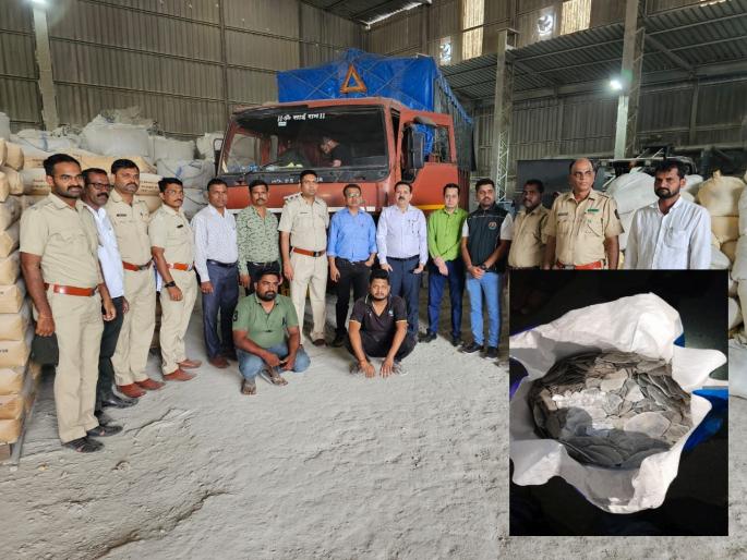 Raigad: Chasing and seizing capiz shells worth crores, exciting action by forest department | Raigad: पाठलाग करून कोट्यवधींचे कॅपिझ शंख (शेल) जप्त, वनविभागाची थरारक कारवाई Raigad: Chasing and seizing capiz shells worth crores, exciting action by forest department | Raigad: पाठलाग करून कोट्यवधींचे कॅपिझ शंख (शेल) जप्त, वनविभागाची थरारक कारवाई