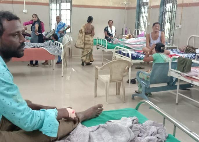 terror of stray dogs crushing single day 13 persons were broken | खोपट्यात भटक्या पिसाळलेल्या कुत्र्यांची दहशत; एकाच दिवशी १३ जणांचे लचके तोडले terror of stray dogs crushing single day 13 persons were broken | खोपट्यात भटक्या पिसाळलेल्या कुत्र्यांची दहशत; एकाच दिवशी १३ जणांचे लचके तोडले