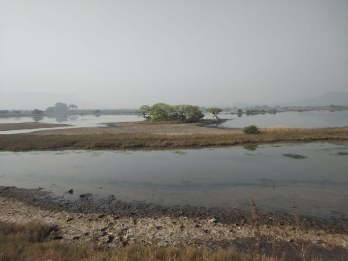 HC orders environment department to take decision on Panje wetlands dispute within 12 weeks | पाणजे पाणथळ क्षेत्र वादावर पर्यावरण विभागाला १२ आठवड्यात निर्णय घेण्याचे उच्च न्यायालयाचे आदेश HC orders environment department to take decision on Panje wetlands dispute within 12 weeks | पाणजे पाणथळ क्षेत्र वादावर पर्यावरण विभागाला १२ आठवड्यात निर्णय घेण्याचे उच्च न्यायालयाचे आदेश