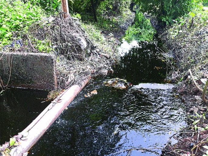 Detection of pollution in the Uran area | उरण परिसराला प्रदूषणाचा विळखा