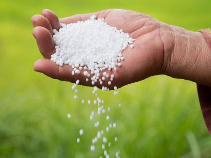 Urea shortage in Nagpur district | नागपूर जिल्ह्यात युरियाचा तुटवडा Urea shortage in Nagpur district | नागपूर जिल्ह्यात युरियाचा तुटवडा
