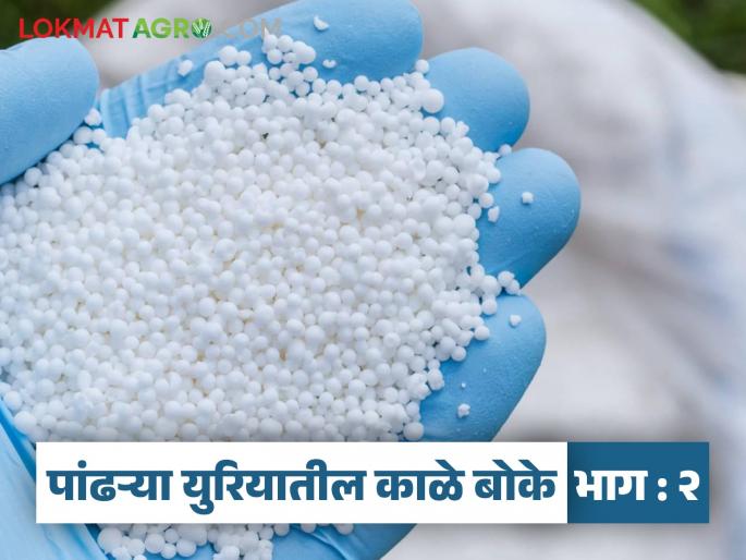 Urea used for adulteration; Urea worth Rs 600 is sold for Rs 3500 | युरियाचा भेसळीसाठी वापर; सहाशे रुपयांच्या युरियाची विक्री होते ३५०० रुपयाला