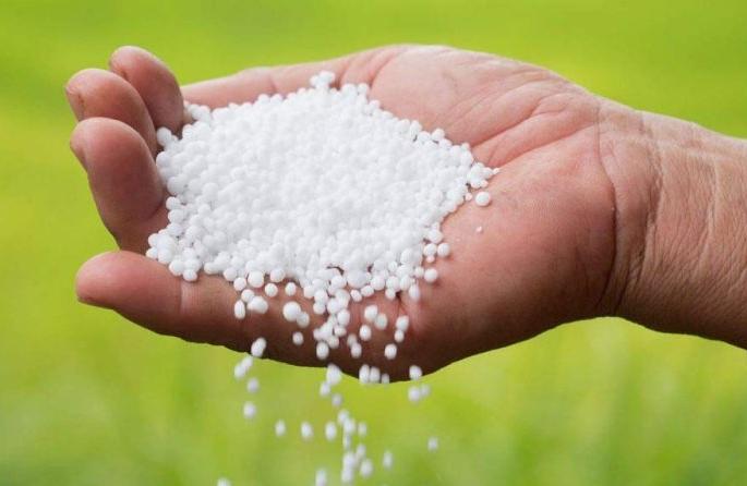 Inquiry into misappropriation of urea continues | बेहिशोबी युरिया वाटप प्रकरणाची चौकशी सुरू Inquiry into misappropriation of urea continues | बेहिशोबी युरिया वाटप प्रकरणाची चौकशी सुरू