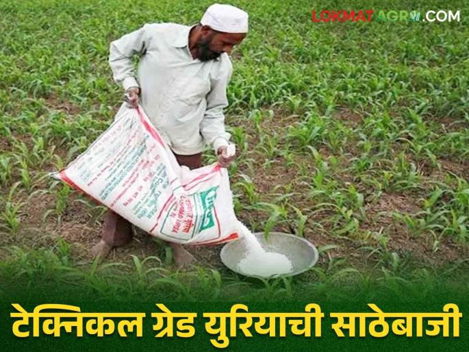 Latest News Agriculture News Urea for industrial use was found in godowns in Wardha district | Agriculture News : औद्योगिक वापरासाठीचा युरिया गोदामात कसा आला? कृषी विभागाची कारवाई  Latest News Agriculture News Urea for industrial use was found in godowns in Wardha district | Agriculture News : औद्योगिक वापरासाठीचा युरिया गोदामात कसा आला? कृषी विभागाची कारवाई