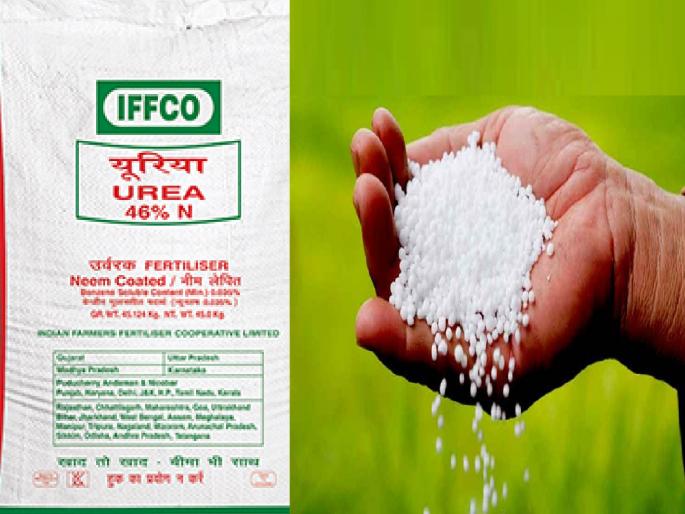 Artificial shortage of urea in Sangli district, sale of other fertilizers at higher rates | सांगली जिल्ह्यात युरियाची कृत्रिम टंचाई, जादा दराने अन्य खतांचे लिकिंग करून विक्री Artificial shortage of urea in Sangli district, sale of other fertilizers at higher rates | सांगली जिल्ह्यात युरियाची कृत्रिम टंचाई, जादा दराने अन्य खतांचे लिकिंग करून विक्री