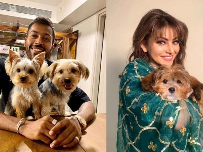 How Urvashi Rautela reacted to rumoured ex Hardik Pandya's engagement to Natasa Stankovic | हार्दिक पांड्या-नताशा स्टँकोव्हिचच्या साखरपुड्याच्या गोड बातमीवर Ex Girlfriend उर्वशी रौतेला म्हणते...