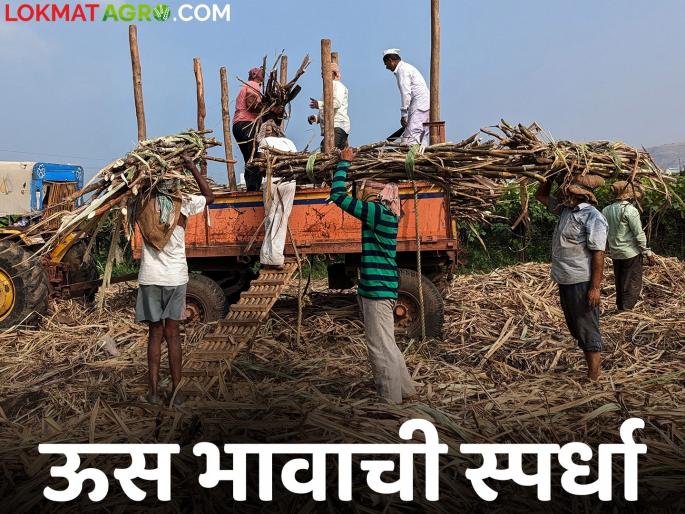 Competition among factories for sugarcane prices in Nagar district; Farmers will benefit | नगर जिल्ह्यात ऊस भावासाठी कारखान्यांत लागली स्पर्धा; शेतकऱ्यांचा होणार फायदा Competition among factories for sugarcane prices in Nagar district; Farmers will benefit | नगर जिल्ह्यात ऊस भावासाठी कारखान्यांत लागली स्पर्धा; शेतकऱ्यांचा होणार फायदा