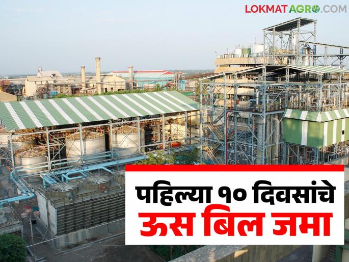 These seven sugar factories in Solapur district have deposited sugarcane bills for the first 10 days | सोलापूर जिल्ह्यातील 'या' सात साखर कारखान्यांनी पहिल्या १० दिवसांचे ऊस बिल केले जमा These seven sugar factories in Solapur district have deposited sugarcane bills for the first 10 days | सोलापूर जिल्ह्यातील 'या' सात साखर कारखान्यांनी पहिल्या १० दिवसांचे ऊस बिल केले जमा