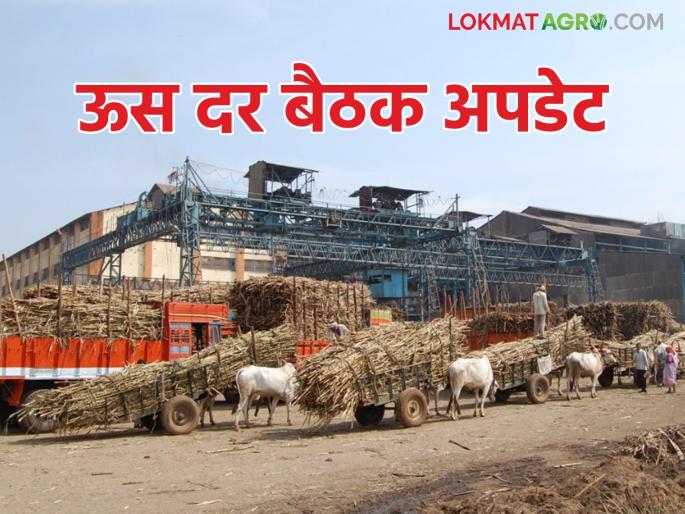 Sugarcane factories chairman's absent in sugar price meeting; Raju Shetty's warning to straighten the sugar factories | ऊसदराच्या बैठकीला कारखाना अध्यक्षांची दांडी; साखर कारखानदारांना सरळ करू राजू शेट्टींचा इशारा Sugarcane factories chairman's absent in sugar price meeting; Raju Shetty's warning to straighten the sugar factories | ऊसदराच्या बैठकीला कारखाना अध्यक्षांची दांडी; साखर कारखानदारांना सरळ करू राजू शेट्टींचा इशारा