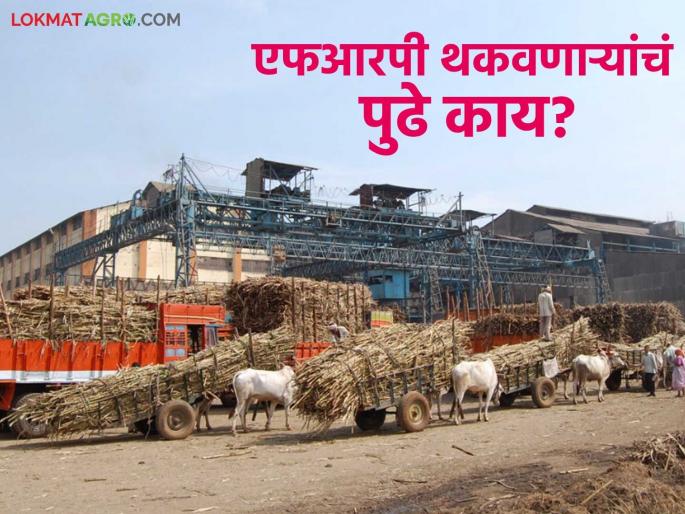 Sugarcane price control meeting held; What was discussed about FRP and other sugarcane issues? Read in detail | ऊसदर नियंत्रण बैठक झाली; एफआरपी व इतर ऊस प्रश्नांविषयी काय चर्चा? वाचा सविस्तर Sugarcane price control meeting held; What was discussed about FRP and other sugarcane issues? Read in detail | ऊसदर नियंत्रण बैठक झाली; एफआरपी व इतर ऊस प्रश्नांविषयी काय चर्चा? वाचा सविस्तर