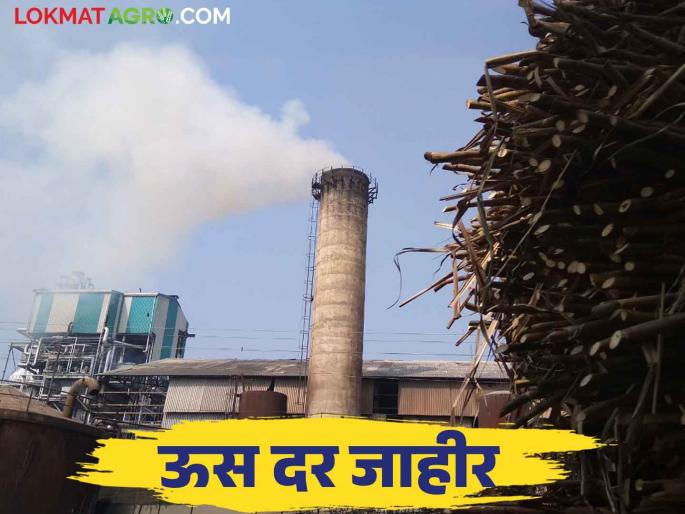 Sugarcane FRP 2024-25: These five sugar factories in Sangli announced the sugarcane rate; How was the price given? | Sugarcane FRP 2024-25 : सांगलीत या पाच कारखान्यांकडून ऊस दराची घोषणा; कसा दिला दर Sugarcane FRP 2024-25: These five sugar factories in Sangli announced the sugarcane rate; How was the price given? | Sugarcane FRP 2024-25 : सांगलीत या पाच कारखान्यांकडून ऊस दराची घोषणा; कसा दिला दर