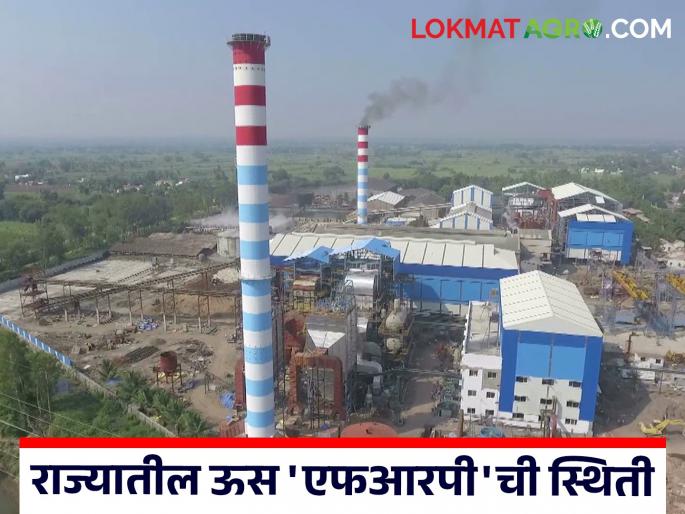 Sugarcane FRP 2024-25 : Sugarcane farmers in the state are owed FRP worth Rs 5600 crore | Sugarcane FRP 2024-25 : राज्यात ऊस उत्पादक शेतकऱ्यांची ५६०० कोटी रुपयांची एफआरपी थकीत Sugarcane FRP 2024-25 : Sugarcane farmers in the state are owed FRP worth Rs 5600 crore | Sugarcane FRP 2024-25 : राज्यात ऊस उत्पादक शेतकऱ्यांची ५६०० कोटी रुपयांची एफआरपी थकीत