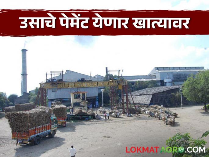 Sugarcane payment from this sugar factory in Ahilyanagar district is credited to the farmers' accounts | अहिल्यानगर जिल्ह्यातील या साखर कारखान्याचे उसाचे पेमेंट शेतकऱ्यांच्या खात्यावर वर्ग