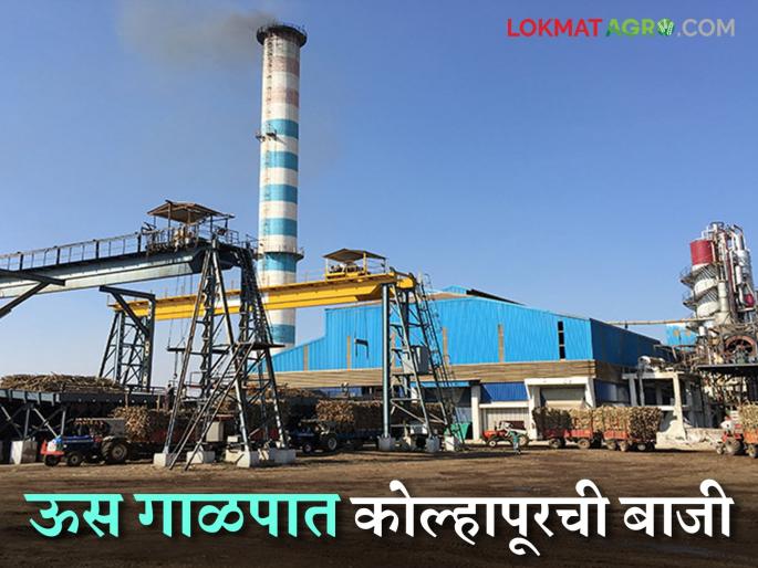 Us Galap 2024-25 : How much sugarcane crushing in which district of the state? and how much sugar production; Read in detail | Us Galap 2024-25 राज्यात कुठल्या जिल्ह्यात किती ऊस गाळप? अन् किती साखर उत्पादन; वाचा सविस्तर Us Galap 2024-25 : How much sugarcane crushing in which district of the state? and how much sugar production; Read in detail | Us Galap 2024-25 राज्यात कुठल्या जिल्ह्यात किती ऊस गाळप? अन् किती साखर उत्पादन; वाचा सविस्तर