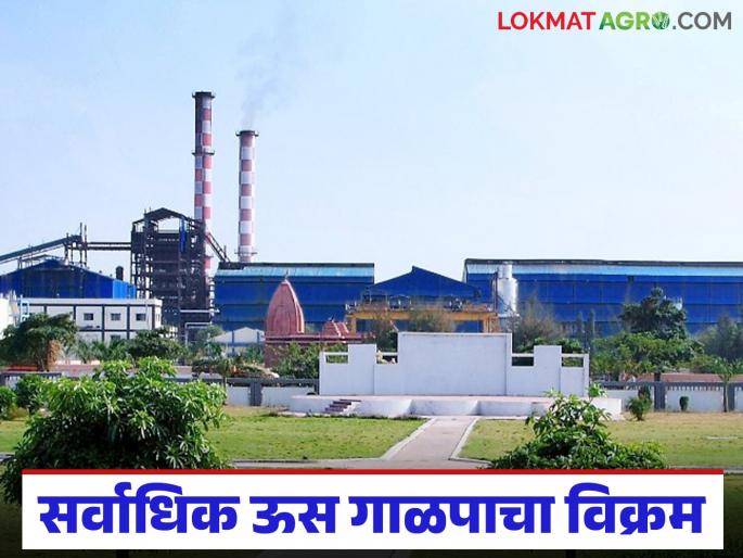 This sugar factory in Pune district has set a new record by crushing the maximum sugarcane in a day | पुणे जिल्ह्यातील 'या' साखर कारखान्याने एका दिवसात सर्वाधिक ऊस गाळप करत केला नवा उच्चांक