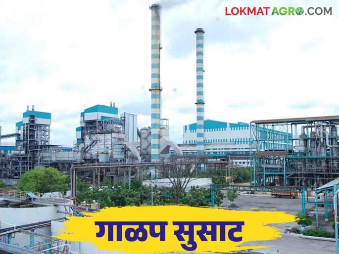 Sugarcane FRP 2024-25 : Central government fixed FRP Rs 3400 per quintal; How much will the sugarcane factory give? | Sugarcane FRP 2024-25 : केंद्राकडून प्रति क्विंटल ३४०० रुपये एफआरपी निश्चित; कारखाने किती देणार