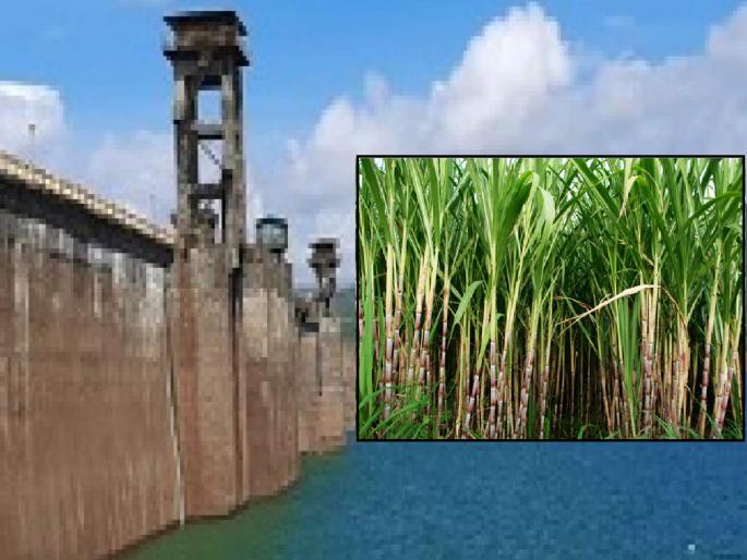 Farmers should not plant more sugarcane as the leakage of Dudhganga Dam in Kolhapur will be removed, Appeal of Irrigation Department | Kolhapur: धरणाची गळती काढायची हाय; जास्त ऊस लावू नका, पाटबंधारे प्रशासनाचे आवाहन Farmers should not plant more sugarcane as the leakage of Dudhganga Dam in Kolhapur will be removed, Appeal of Irrigation Department | Kolhapur: धरणाची गळती काढायची हाय; जास्त ऊस लावू नका, पाटबंधारे प्रशासनाचे आवाहन