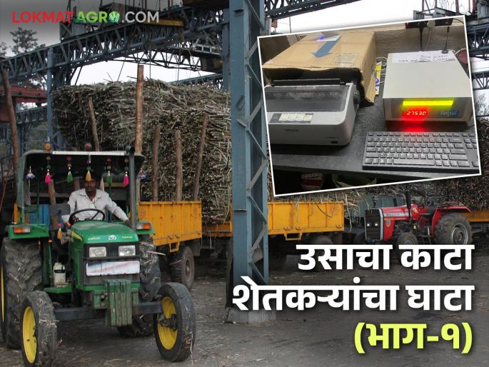 Sugar is delicious but the factories sugarcane weight are cutting it; What is the issue? Read in detail | साखर चवदार पण कारखान्यांची काटामारी दमदार; काय आहे प्रकरण? वाचा सविस्तर Sugar is delicious but the factories sugarcane weight are cutting it; What is the issue? Read in detail | साखर चवदार पण कारखान्यांची काटामारी दमदार; काय आहे प्रकरण? वाचा सविस्तर