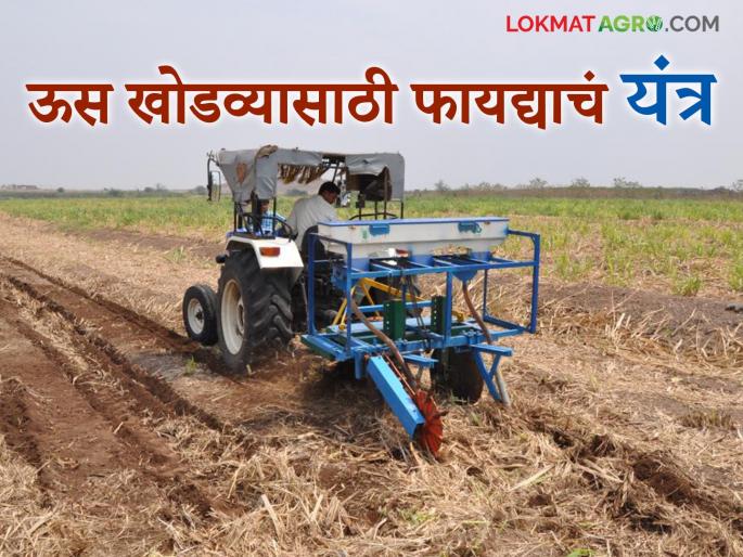 This farm implement that performs these four tasks in ratoon sugarcane management at the same time; Let's see in detail | खोडवा ऊस व्यवस्थापनातील चार कामे एकाच वेळी करणारे औजार; पाहूया सविस्तर This farm implement that performs these four tasks in ratoon sugarcane management at the same time; Let's see in detail | खोडवा ऊस व्यवस्थापनातील चार कामे एकाच वेळी करणारे औजार; पाहूया सविस्तर