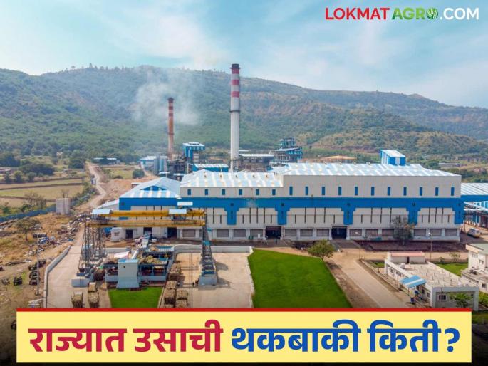 92 sugar factories in the state have defaulted on Rs 864 crores owed to farmers; When will they get the money? | राज्यातील ९२ साखर कारखान्यांनी शेतकऱ्यांचे ८६४ कोटी थकवले; पैसे मिळणार कधी?