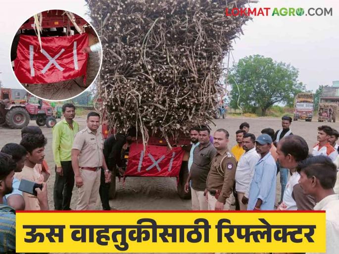Reflector : To avoid sugarcane transport accidents use Reflector | Reflector : रिफ्लेक्टर ठरते नवसंजीवनी; ऊस वाहतुक अपघाताला आळा Reflector : To avoid sugarcane transport accidents use Reflector | Reflector : रिफ्लेक्टर ठरते नवसंजीवनी; ऊस वाहतुक अपघाताला आळा