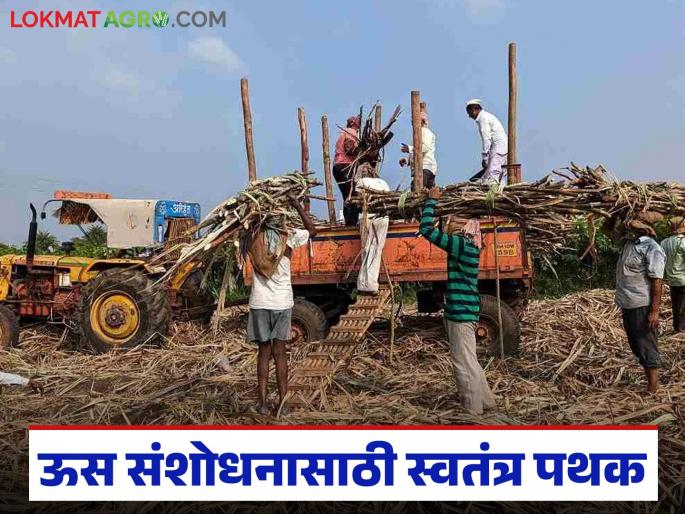 Latest News Minister Shivraj Singh Chavan's important announcement regarding sugarcane research | ऊस संशोधनाबाबत मंत्री शिवराज सिंह चव्हाण यांची महत्वाची घोषणा, पहा काय म्हणाले 