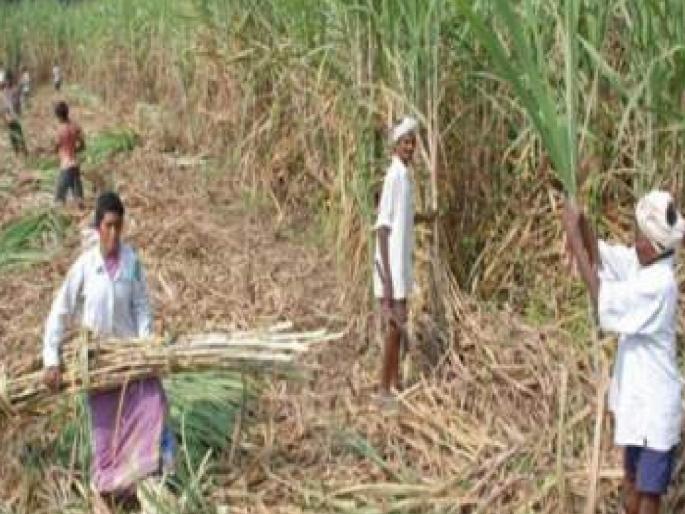 Encumbrance the properties of the cheating sugarcane labourers | Kolhapur: फसवणूक करणाऱ्या ऊसतोड मजुरांच्या मालमत्तांवर बोजा, पोलिसांची १६ पथके रवाना Encumbrance the properties of the cheating sugarcane labourers | Kolhapur: फसवणूक करणाऱ्या ऊसतोड मजुरांच्या मालमत्तांवर बोजा, पोलिसांची १६ पथके रवाना